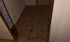 IMAG0151