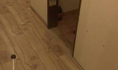 IMAG0153