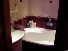 jadro_cimice_003