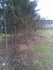 plot_zach_domecek_002