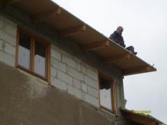 strecha_cernosice_014