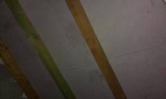 IMAG0080