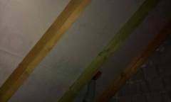 IMAG0081
