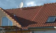 IMAG0245