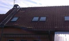 IMAG0362
