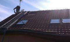 IMAG0365