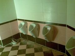 wc_restaurace_012