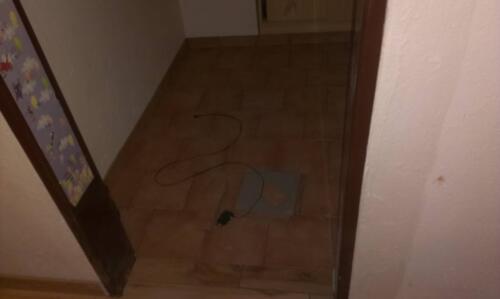 IMAG0151