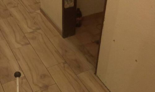 IMAG0153